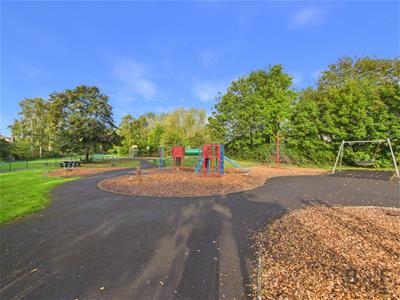 Picture 25
